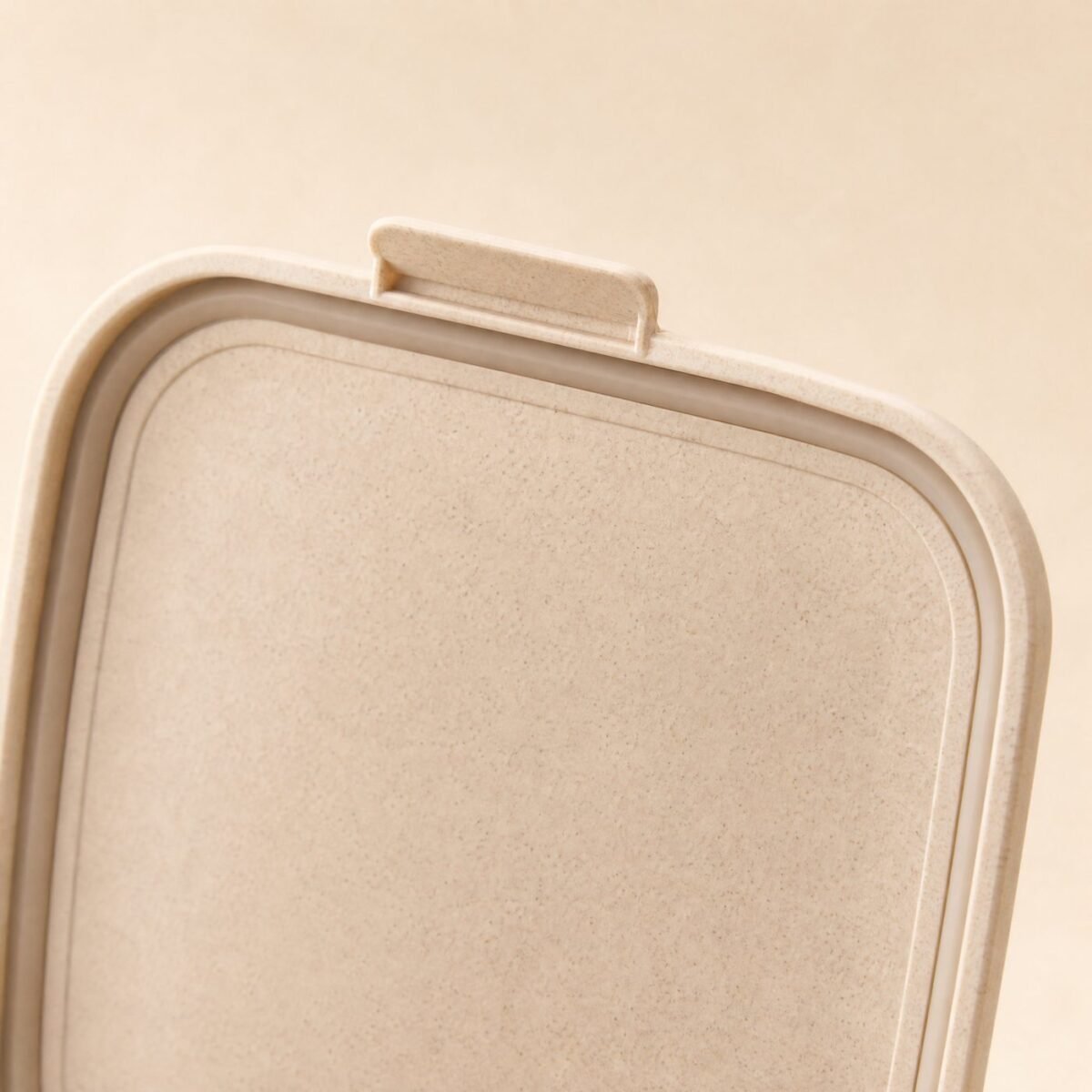 Compact PP Bento Box 650 ml - close-up